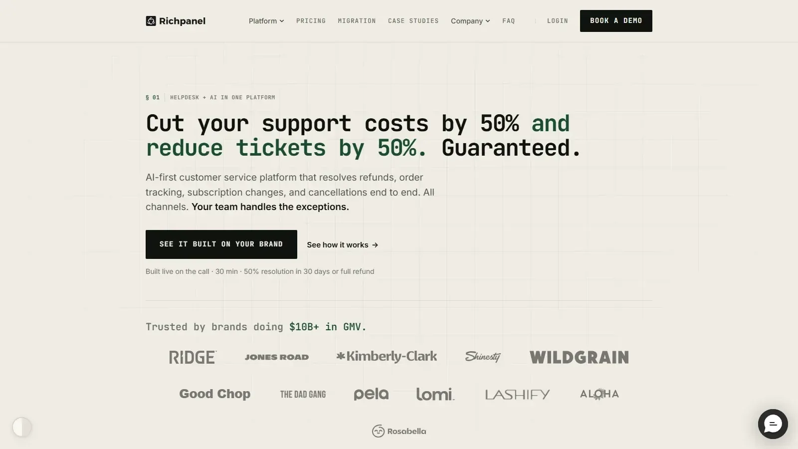 Richpanel homepage screenshot