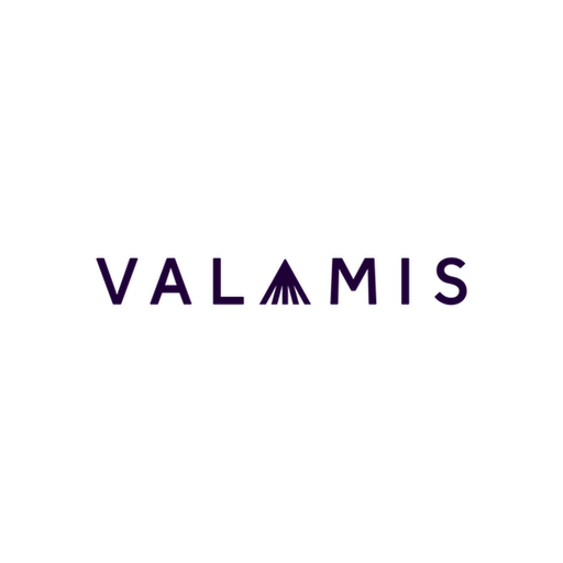Valamis logo