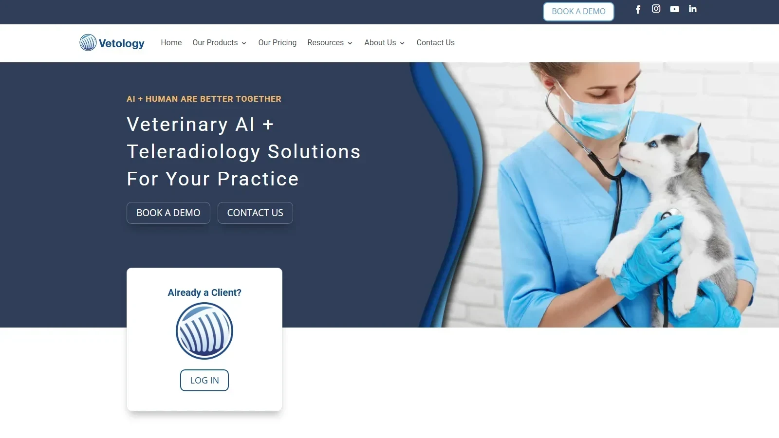 Vetology homepage screenshot